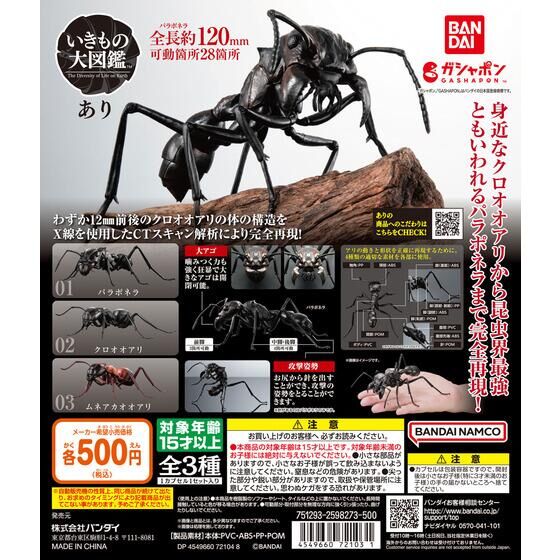 扭蛋 生物大圖鑒 螞蟻 500日元（HCP-72103）