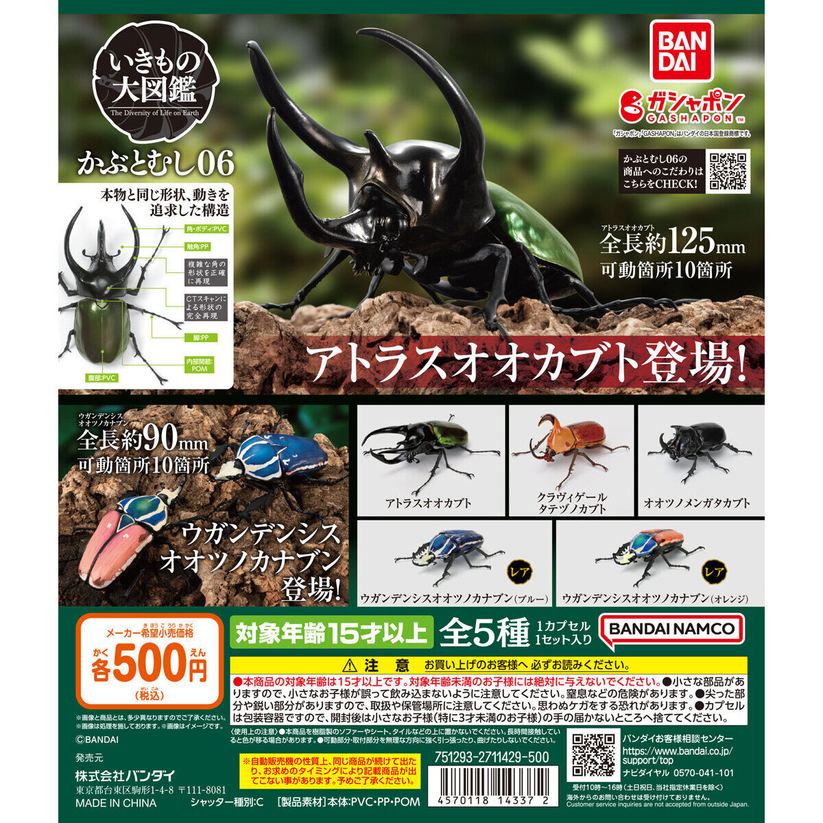 扭蛋 生物大圖鑒 甲蟲 第二彈 500日元（HCP-14337）