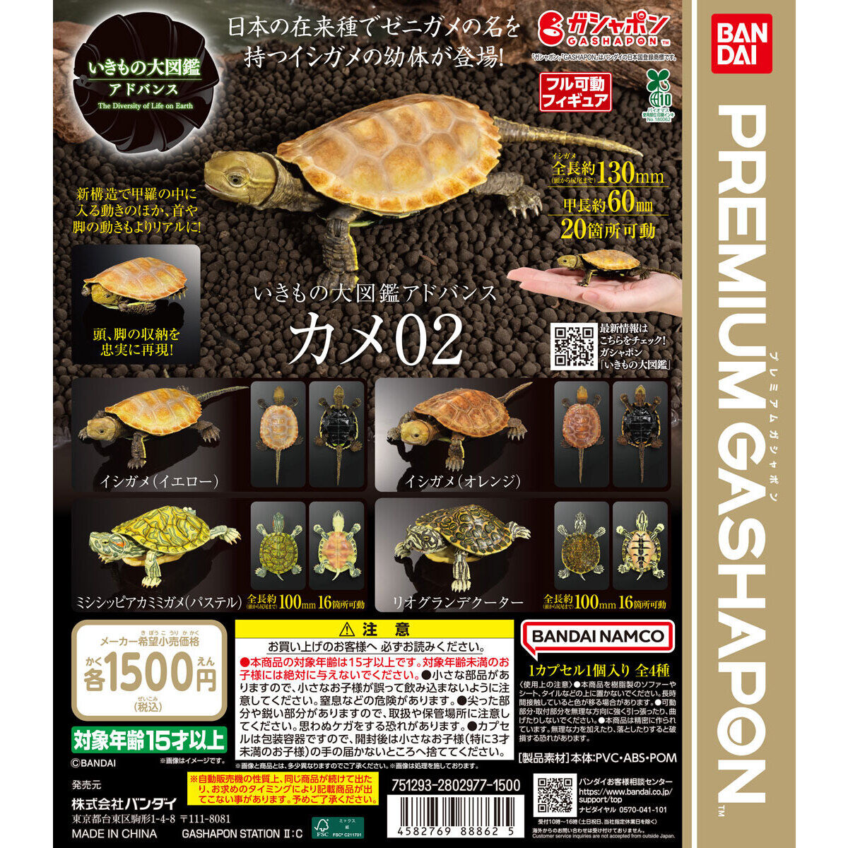 扭蛋 生物大圖鑒 龜 第二彈 1500日元（HCP-88862）