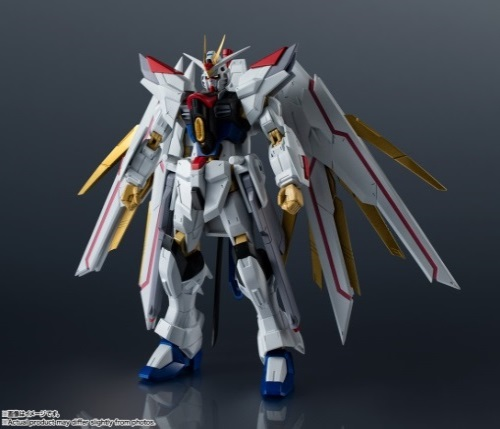 GUNDAM UNIVERSE 非凡强袭自由高达4000日元（HGT-69339）
