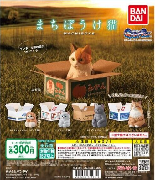 扭蛋 呆等被鴿了 貓咪系列 300日元（HCP-72181）