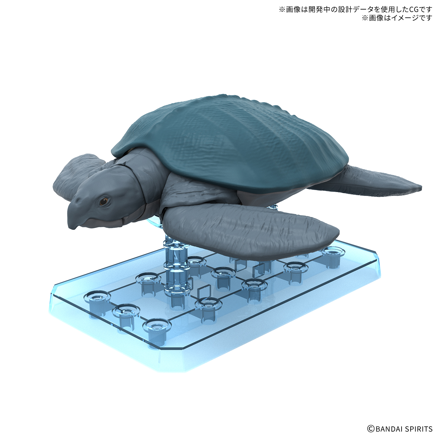 恐龙拼装模型 古巨龟1600日元（HGD-5074291）