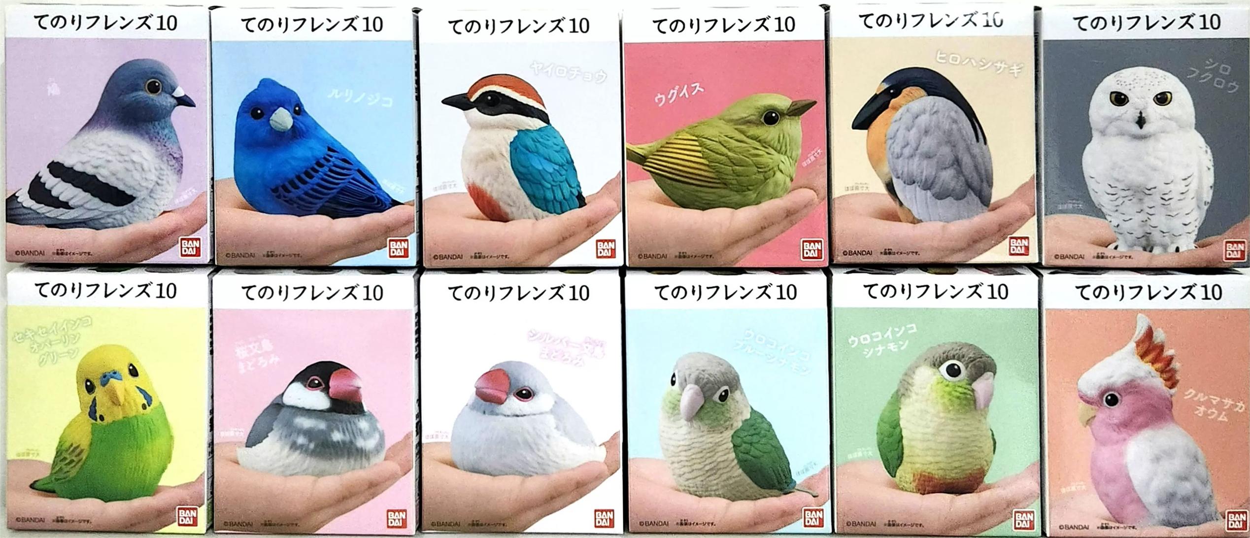 糖果盒蛋  掌中的朋友 第10彈 320日元（HCT-91082WO）
