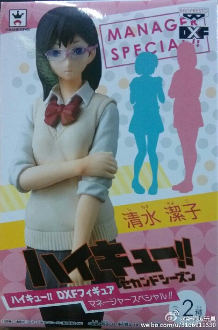 眼镜厂 DXF系列 排球少年 清水洁子&谷地仁花B 800日元 (HBP-49937B)
