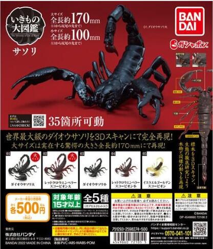 扭蛋 生物大圖鑒 蝎子 500日元（HCP-72105）