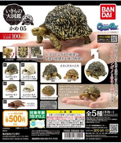 扭蛋 生物大圖鑒 龜類 第五彈 500日元（HCP-66049）