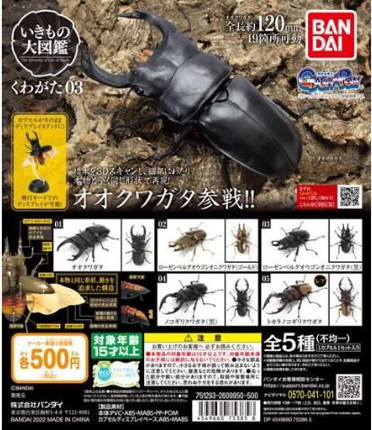 扭蛋 生物大圖鑒系列 锹形蟲 扭蛋系列 第三彈 500日元（HCP-75385）