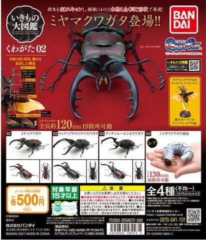 扭蛋 生物大圖鑒 鍬形蟲 扭蛋系列 第二彈 500日元（HCP-58923）