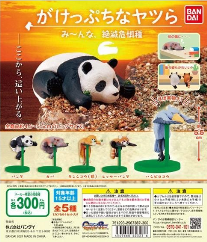 扭蛋 懸崖邊的瀕危動物們 動物擺件系列 300日元（HCP-62323）