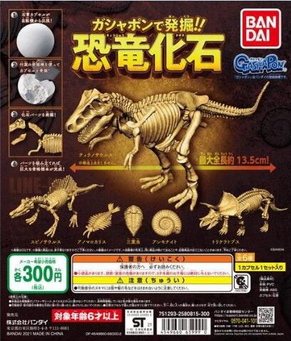 扭蛋 挖掘吧！發掘恐龍的骨頭 恐龍化石扭蛋玩具 300日元（HCP-65999）