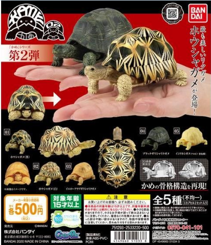 扭蛋 海龜 變型玩具 第二彈 500日圓（HCP-51033）