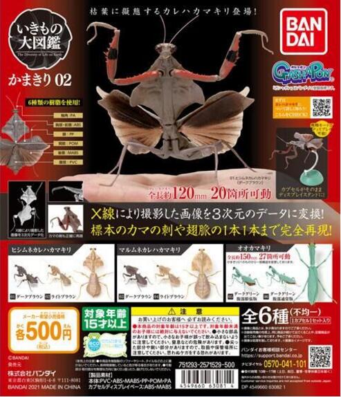扭蛋 生物大圖鑒系列 螳螂 第二彈 500日元（HCP-63081）