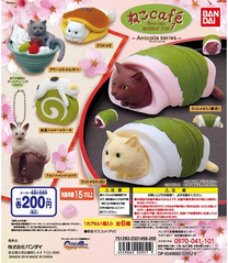 扭蛋  猫咖啡 7 200日元 （HCP-02951）