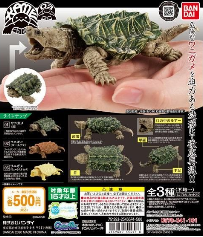 扭蛋 爬行動物扭蛋系列 鱷龜 第三彈 500日元（HCP-55457）